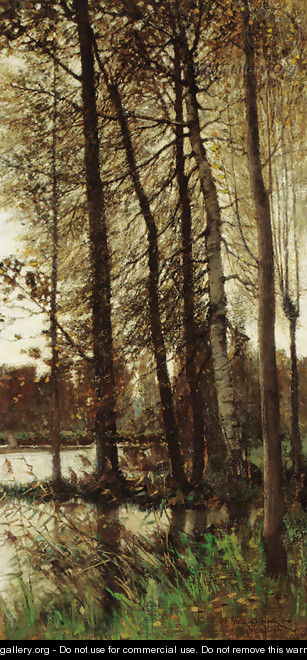 Autumnal Greys (Forest of Fontainebleau) - Frank O
