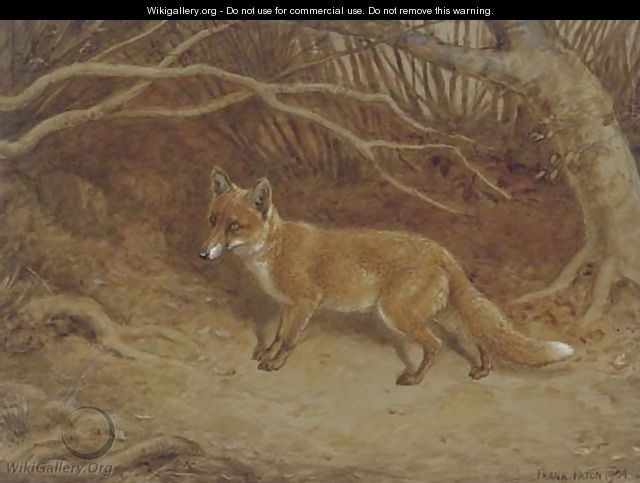 The wily fox - Frank Paton