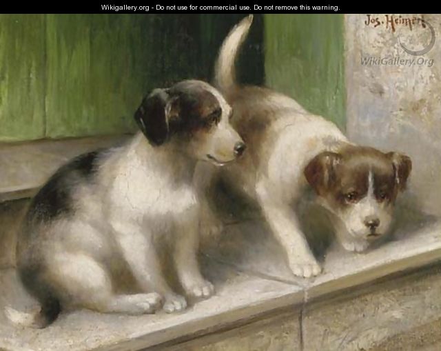 Mischevious puppies - Josef Heimerl