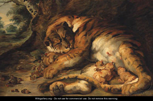 Tiger with Cubs - Josef Bche