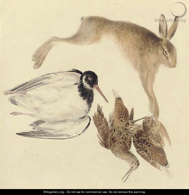 Study of dead game woodcock, oyster catcher and hare - Joseph Mallord William Turner