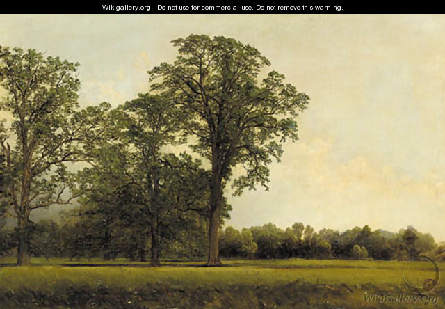 The Spring Field - John William Casilear