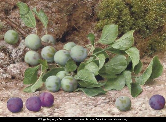A bough of plums on a mossy bank - John Sherrin