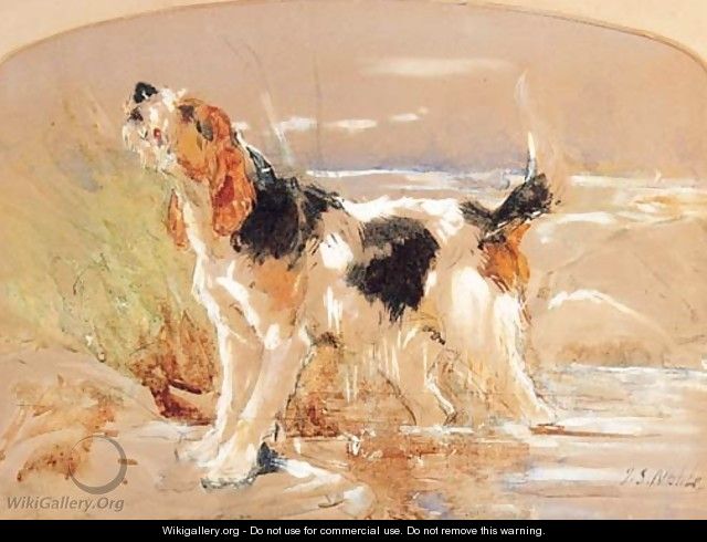 An Otter Hound emerging from Water - John Sargeant Noble, R.B.A.