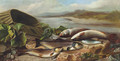Trout and a Bleak on a River Bank - John Russell