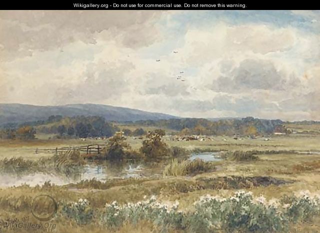 Cows grazing in the water meadows - John Steeple