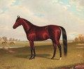 Rubini, A Bay Horse in a Lanscape - John McAuliffe