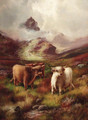 Highland cattle in a mountainous landscape - John Morris