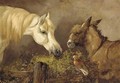 A horse, donkey, and a dove - John Morris