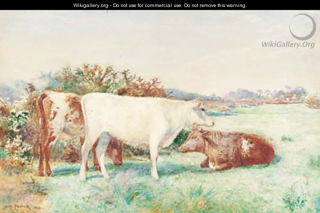 Cattle in a meadow - John Pedder