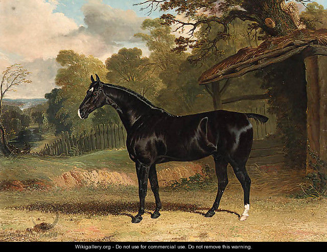 Black Tom, a black hunter, beside a stable, in a wooded river landscape - John Frederick Herring Snr