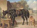 A farmer's hack and greyhounds - John Frederick Herring Snr