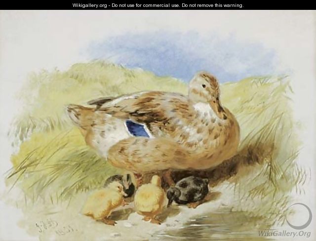 A Duck And Ducklings - John Frederick Herring Snr