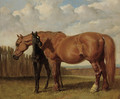 A chestnut mare with her foal in a paddock - John Frederick Herring Snr