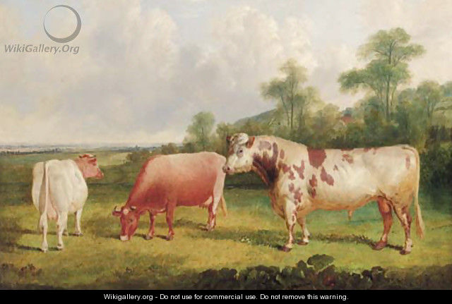 A bull and cows in a wooded landscape - John Frederick Herring, Jnr.