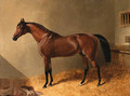 Pacolet, A Bay Stallion, in a Stable - John Frederick Herring Snr