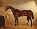 Lord Jersey's Bay Middleton in a Stable - John Frederick Herring Snr