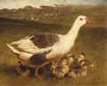 A Goose and Goslings - John Frederick Herring Snr