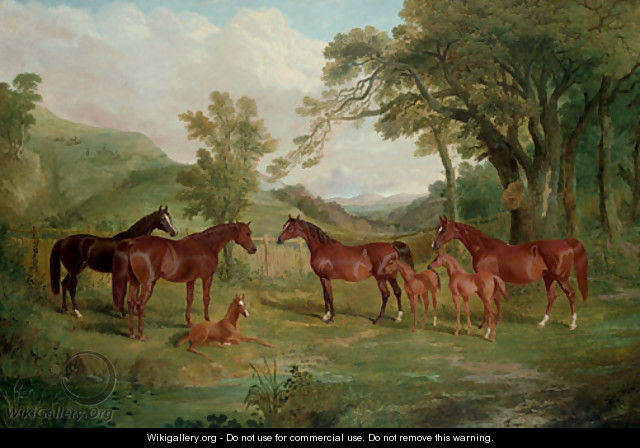 The Streatlam Stud, Mares and Foals - John Frederick Herring Snr