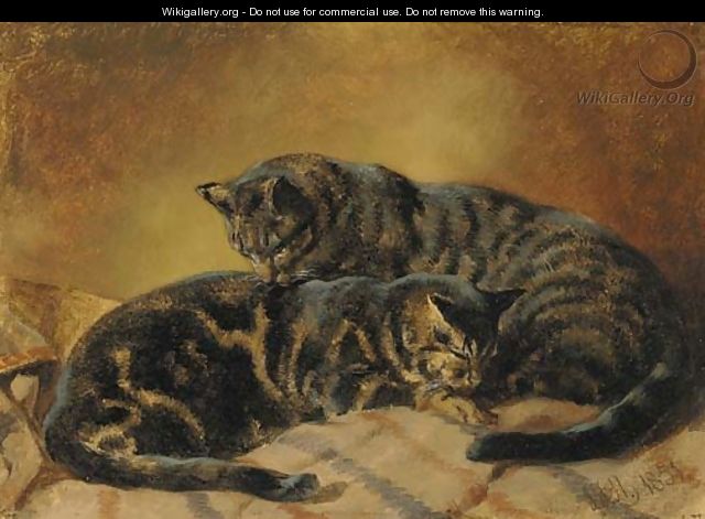 Two cats - John Frederick Herring Snr