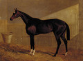 Lucetta, a bay racehorse in a stable - John Frederick Herring Snr