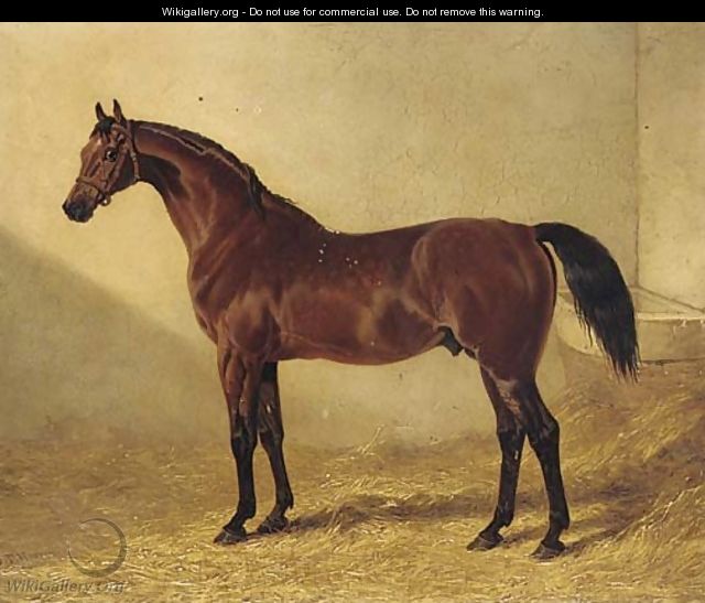 Glaucus, a bay racehorse in a stable - John Frederick Herring Snr