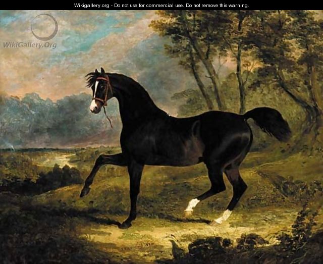 Camel, a dark bay racehorse in a landscape - John Frederick Herring Snr