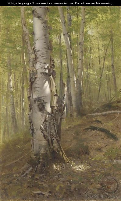 Silver Birches - John George Brown