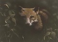 Fox at night - John Higginbotham