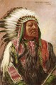 Chief Bald Eagle, Sioux - John Hauser