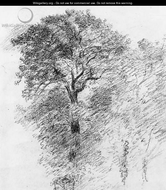 Elm Trees - John Constable