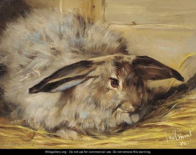 A rabbit - John Emms