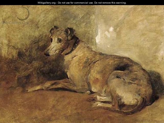A greyhound - John Emms