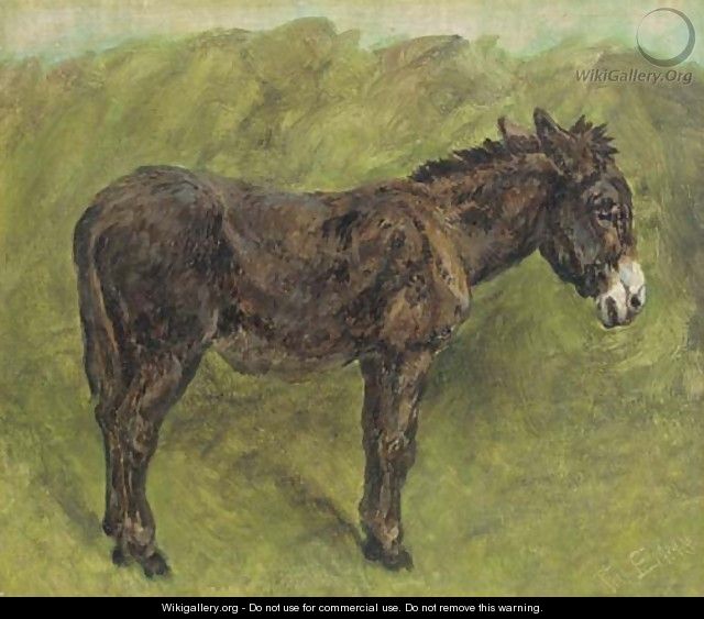 A Donkey - John Emms