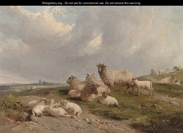 Sheep and lambs on a hillside - J. Duvall