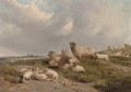 Sheep and lambs on a hillside - J. Duvall