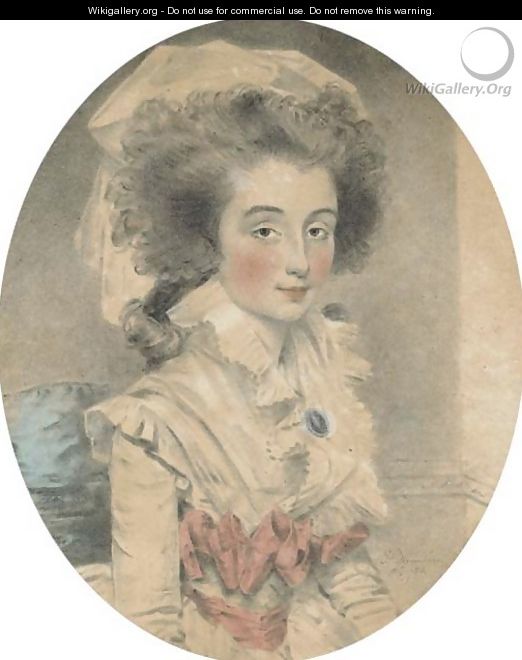 A portrait of Mrs Shuttleworth - John Downman