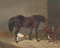 A bay horse with a goat and ducks - John Frederick Herring Snr