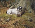 A terrier with a hare - John Fitz Marshall