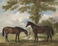 Two bay mares with a terrier by a tree, in a landscape - John Ferneley, Snr.