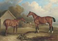Sambo and Pilot, property of Lord Gardner, at grass, with figures beyond - John Ferneley, Snr.