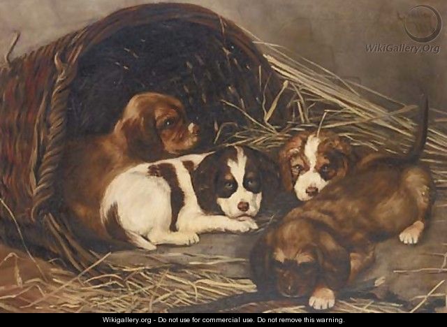 Puppies - Lucy Waller