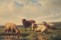 Sheep resting in a Meadow - Louis Pierre Verwee