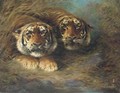 Tigers - Lilian Cheviot