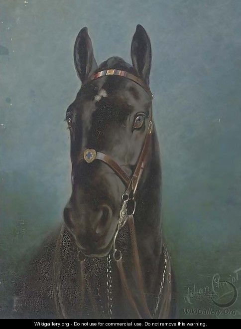 The black stallion - Lilian Cheviot