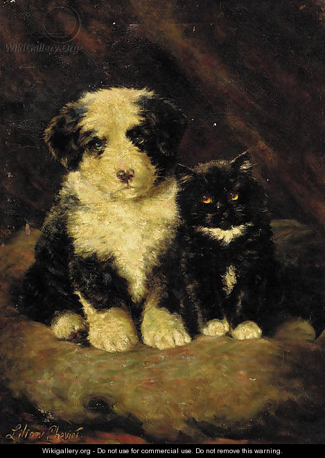 A sheepdog puppy with a kitten - Lilian Cheviot