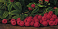 Raspberries - Levi Wells Prentice