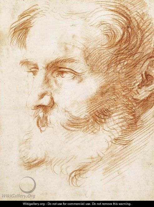 Head of a bearded man, looking to the left - Jusepe de Ribera
