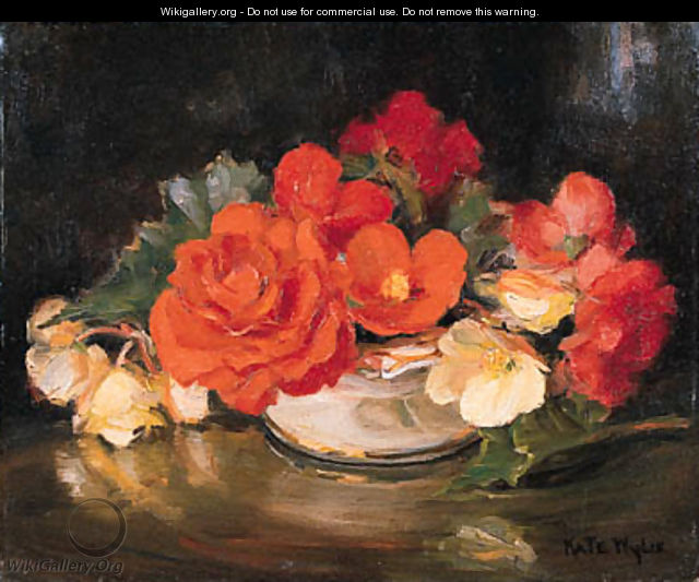Red and White Begonias - Kate Wylie