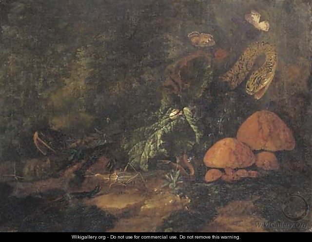A forest floor still life with snakes, butterflies, snails, a grasshopper and a lizard - Carl Wilhelm de Hamilton